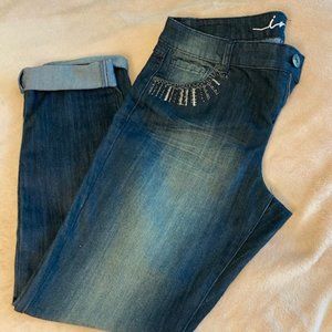 ✨✨EUC INC Skinny Leg jeans 👖
